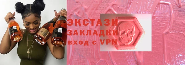 индика Осинники