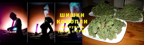 индика Осинники