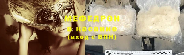 индика Осинники