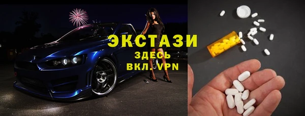 индика Осинники