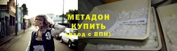 индика Осинники
