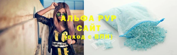 индика Осинники