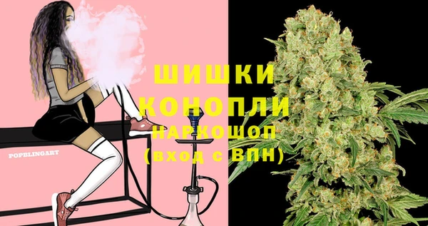 индика Осинники