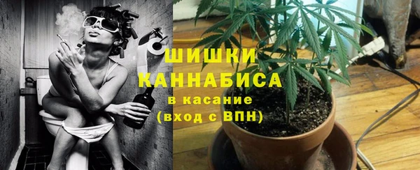 индика Осинники
