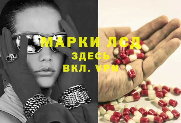 индика Осинники