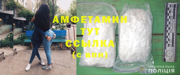 индика Осинники