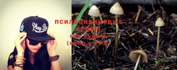 индика Осинники