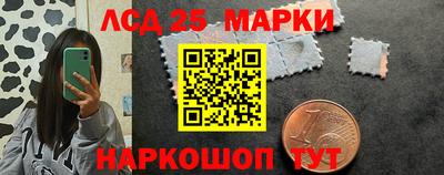 спиды Дубна