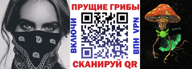 hydra вход  Нальчик  Галлюциногенные грибы Psilocybine cubensis 