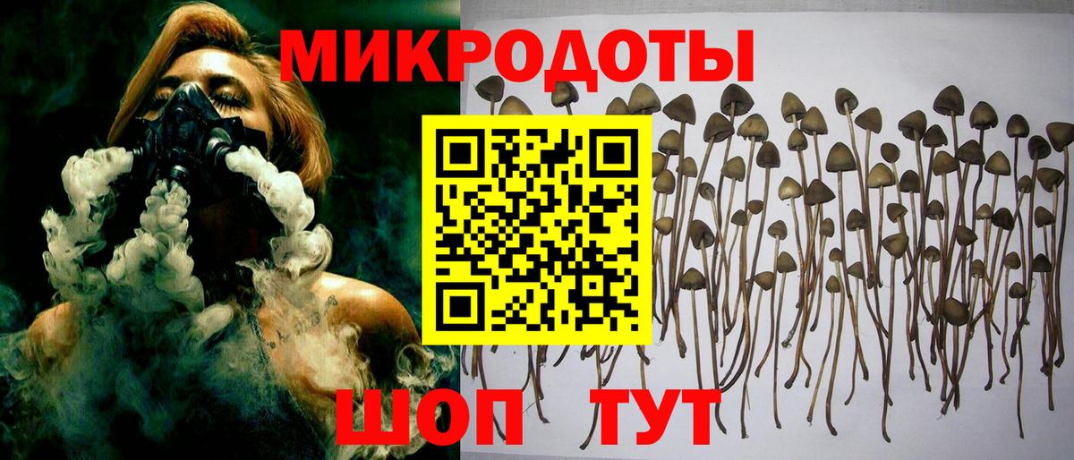 Нальчик  Галлюциногенные грибы Psilocybe  Псилоцибиновые грибы Magic Shrooms  Вход с VPN 