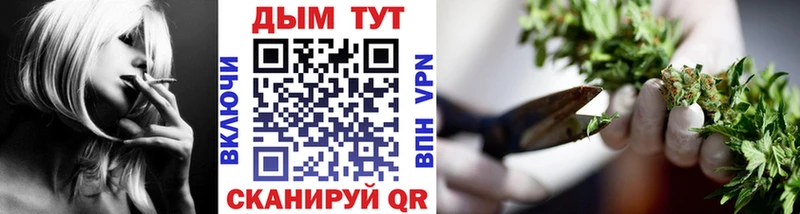 дарк нет как зайти  Нальчик  Шишки марихуана конопля 