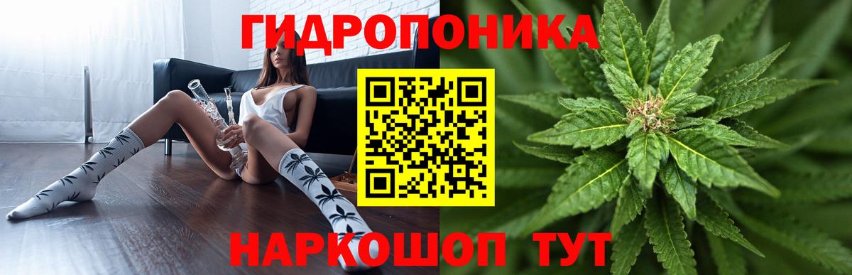 Бошки марихуана гибрид Нальчик